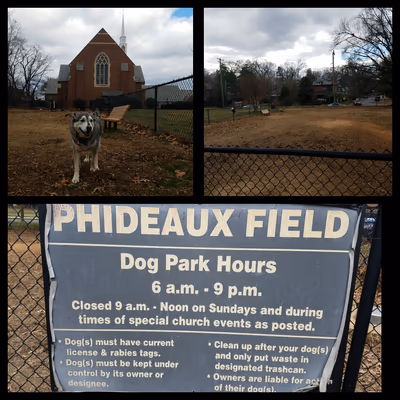 Phideaux Field Dog Park photo 1
